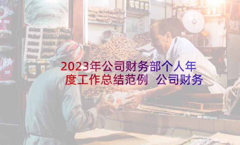 2023年公司财务部个人年度工作总结范例 公司财务部个人年度工作总结(通用5篇)