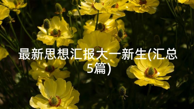 最新思想汇报大一新生(汇总5篇)