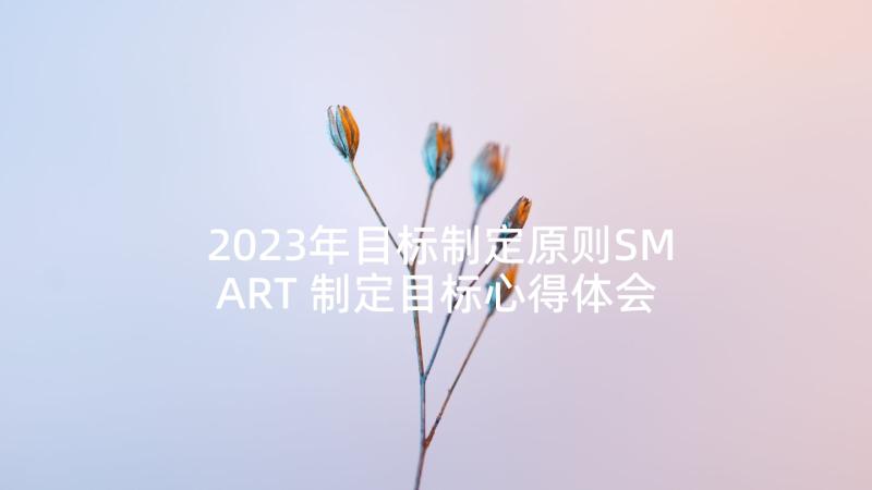 2023年目标制定原则SMART 制定目标心得体会(模板7篇)