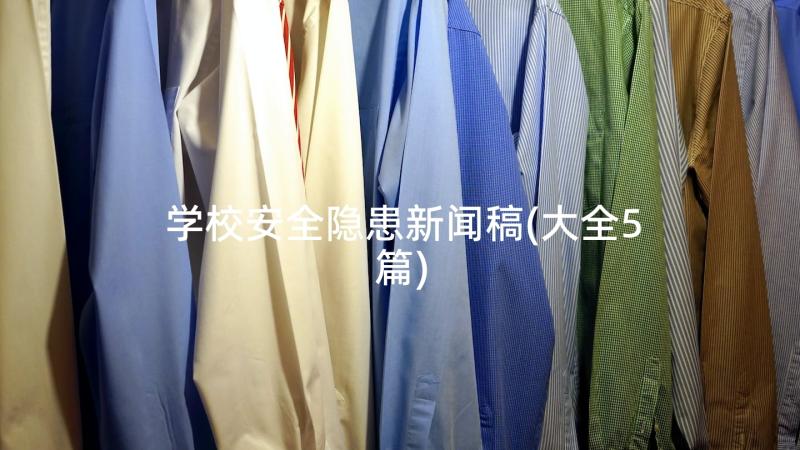 学校安全隐患新闻稿(大全5篇)