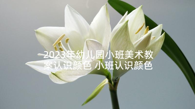 2023年幼儿园小班美术教案认识颜色 小班认识颜色教案(模板6篇)