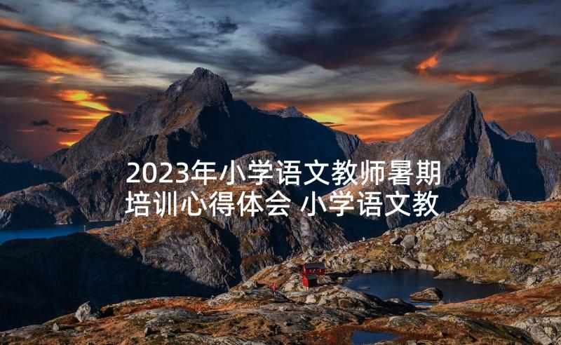 2023年小学语文教师暑期培训心得体会 小学语文教师的心得体会(实用10篇)