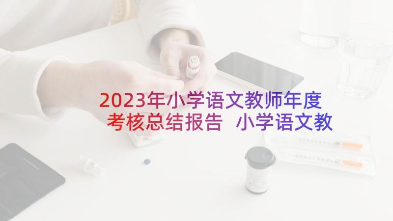 2023年小学语文教师年度考核总结报告 小学语文教师考核总结报告(大全6篇)