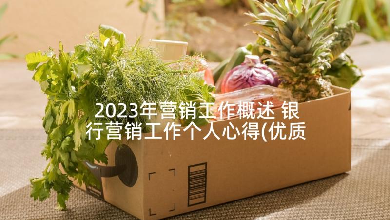 2023年营销工作概述 银行营销工作个人心得(优质5篇)