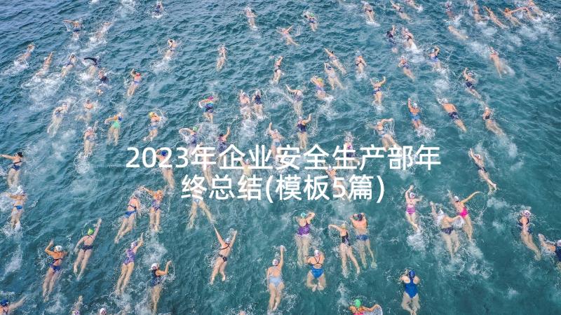 2023年企业安全生产部年终总结(模板5篇)