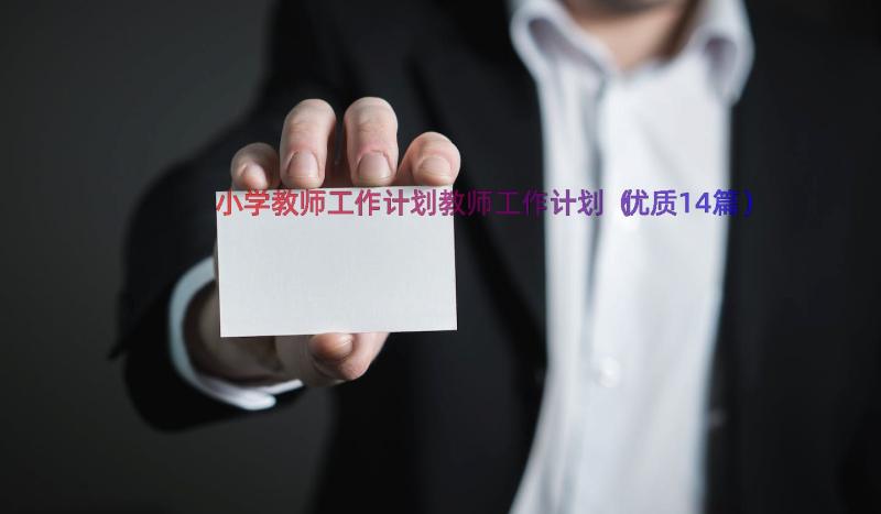 小学教师工作计划教师工作计划（优质14篇）