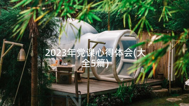 2023年党课心得体会(大全5篇)