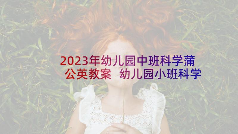 2023年幼儿园中班科学蒲公英教案 幼儿园小班科学教案(通用8篇)