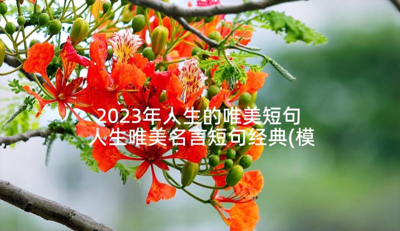 2023年人生的唯美短句 人生唯美名言短句经典(模板5篇)