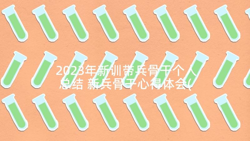 2023年新训带兵骨干个人总结 新兵骨干心得体会(精选5篇)