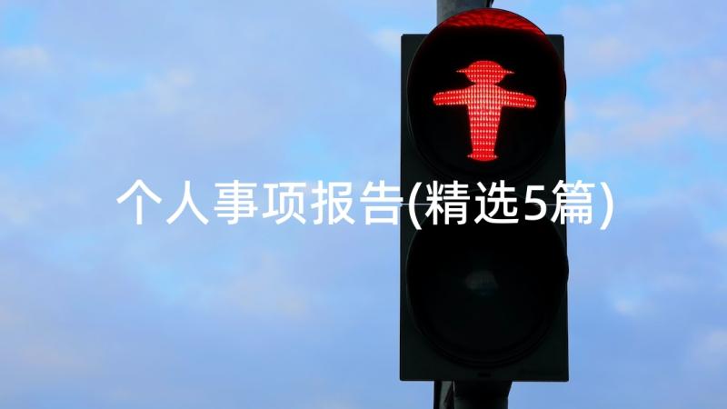 个人事项报告(精选5篇)