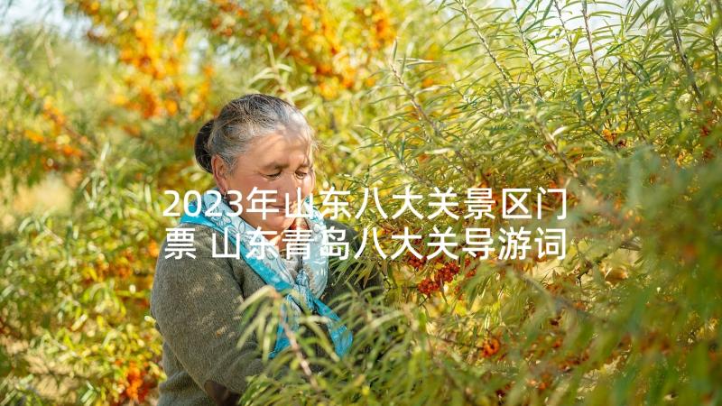 2023年山东八大关景区门票 山东青岛八大关导游词(精选5篇)