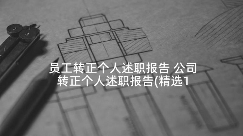 员工转正个人述职报告 公司转正个人述职报告(精选10篇)