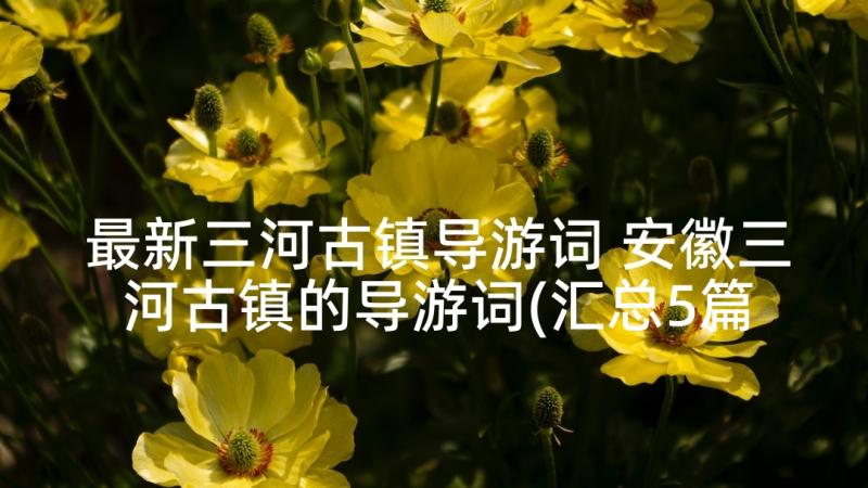 最新三河古镇导游词 安徽三河古镇的导游词(汇总5篇)