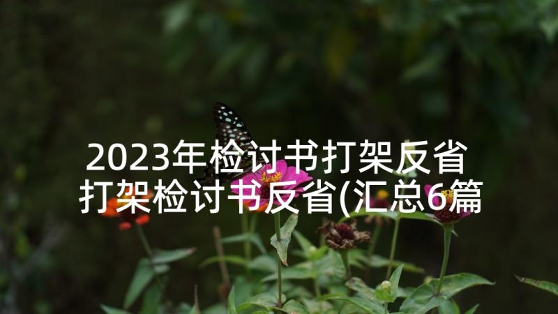 2023年检讨书打架反省 打架检讨书反省(汇总6篇)