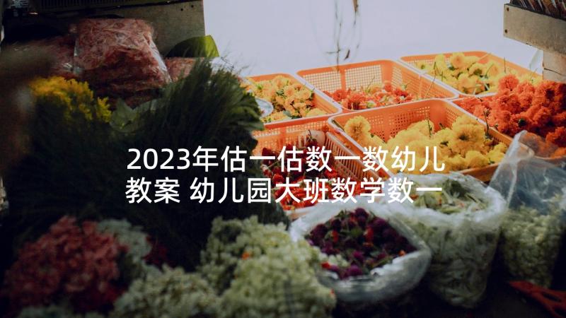 2023年估一估数一数幼儿教案 幼儿园大班数学数一数教案(实用5篇)