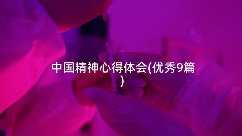 中国精神心得体会(优秀9篇)