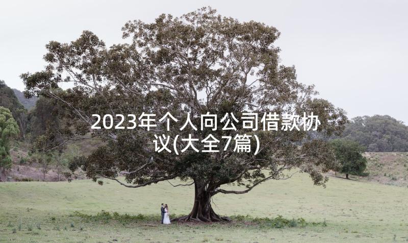 2023年个人向公司借款协议(大全7篇)