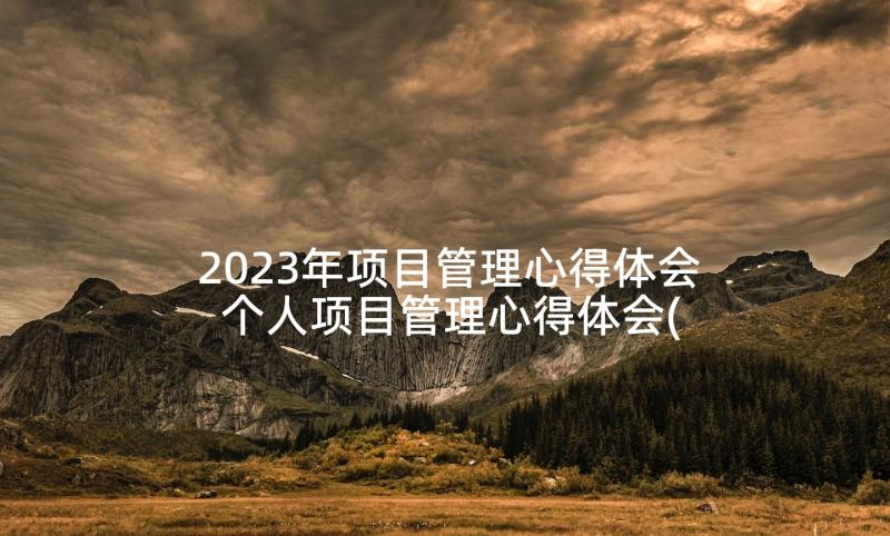 2023年项目管理心得体会 个人项目管理心得体会(大全7篇)