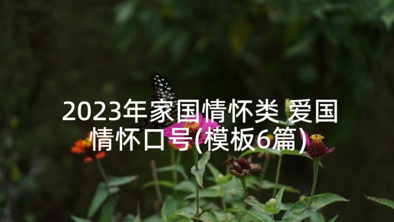 2023年家国情怀类 爱国情怀口号(模板6篇)