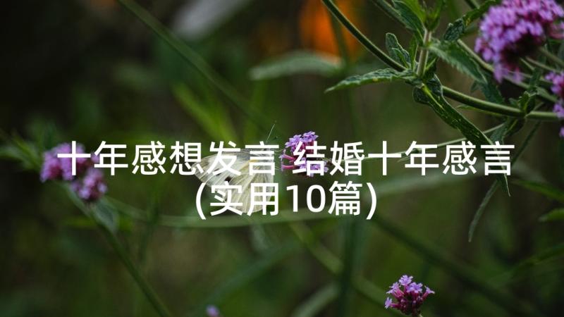 十年感想发言 结婚十年感言(实用10篇)