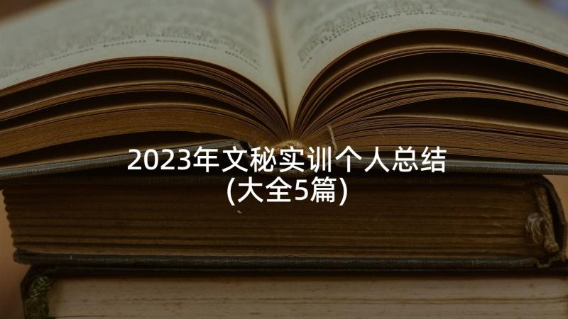 2023年文秘实训个人总结(大全5篇)