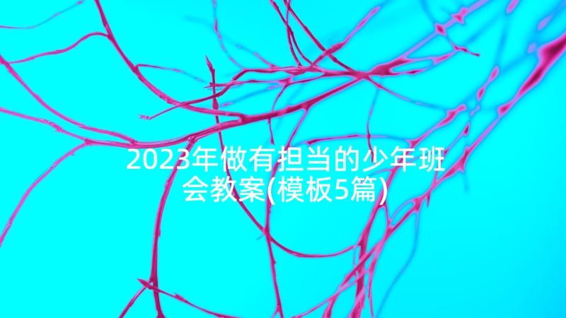 2023年做有担当的少年班会教案(模板5篇)