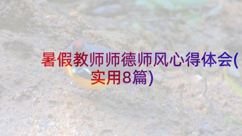 暑假教师师德师风心得体会(实用8篇)