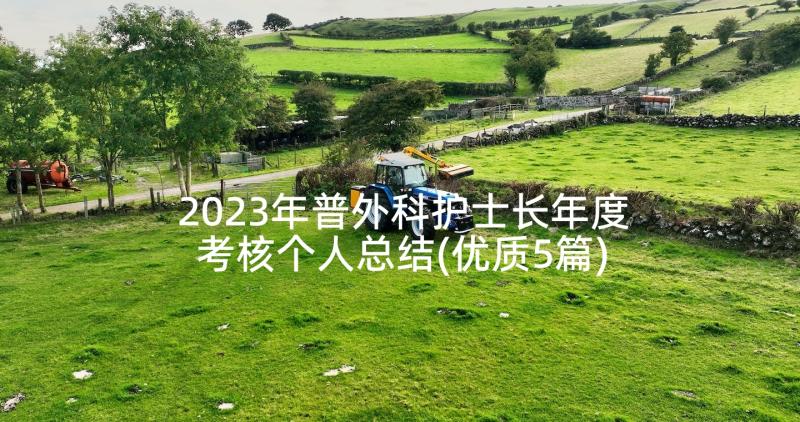 2023年普外科护士长年度考核个人总结(优质5篇)