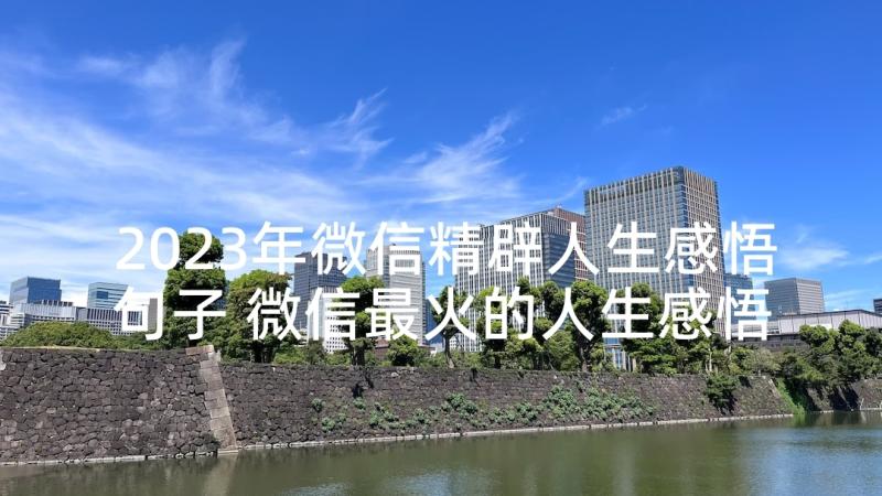 2023年微信精辟人生感悟句子 微信最火的人生感悟经典哲理语录(汇总5篇)