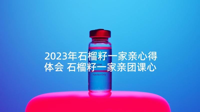 2023年石榴籽一家亲心得体会 石榴籽一家亲团课心得体会(大全6篇)