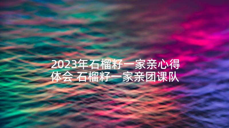 2023年石榴籽一家亲心得体会 石榴籽一家亲团课队课个人心得体会(优秀5篇)