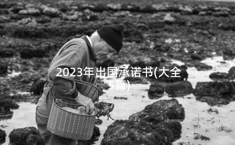 2023年出国承诺书(大全5篇)