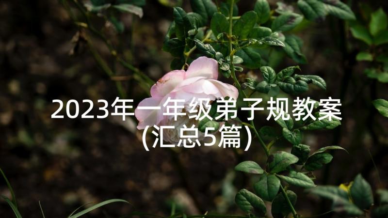 2023年一年级弟子规教案(汇总5篇)