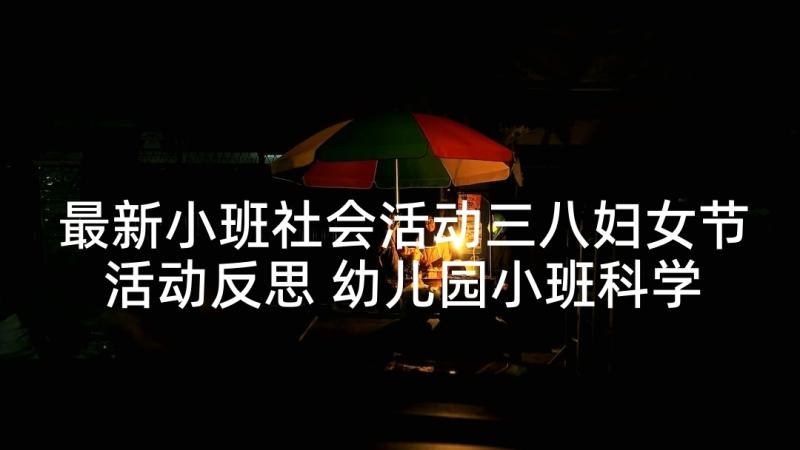 最新小班社会活动三八妇女节活动反思 幼儿园小班科学教案认识正方形含反思(通用8篇)