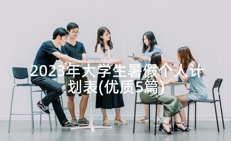 2023年大学生暑假个人计划表(优质5篇)