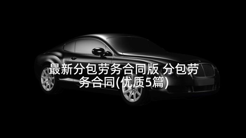 最新分包劳务合同版 分包劳务合同(优质5篇)