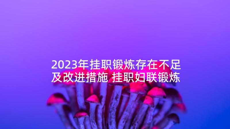 2023年挂职锻炼存在不足及改进措施 挂职妇联锻炼心得体会(通用8篇)