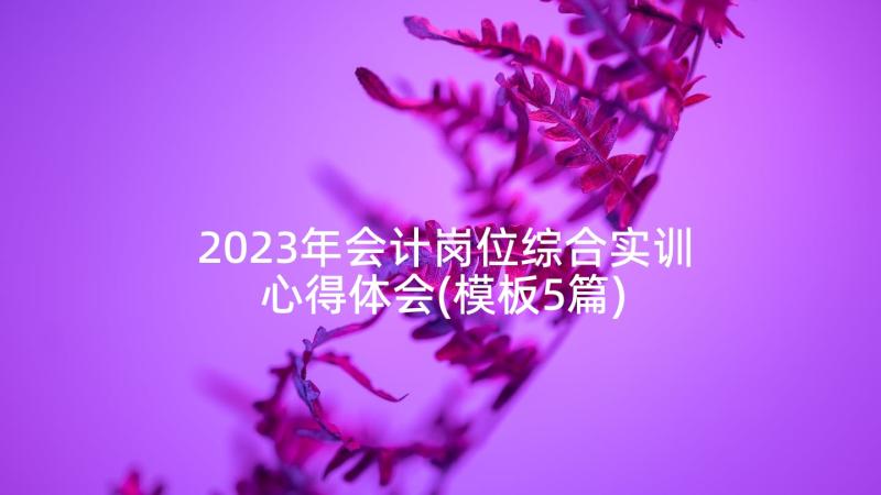 2023年会计岗位综合实训心得体会(模板5篇)