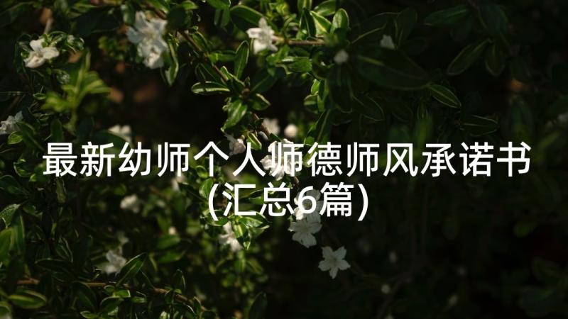 最新幼师个人师德师风承诺书(汇总6篇)