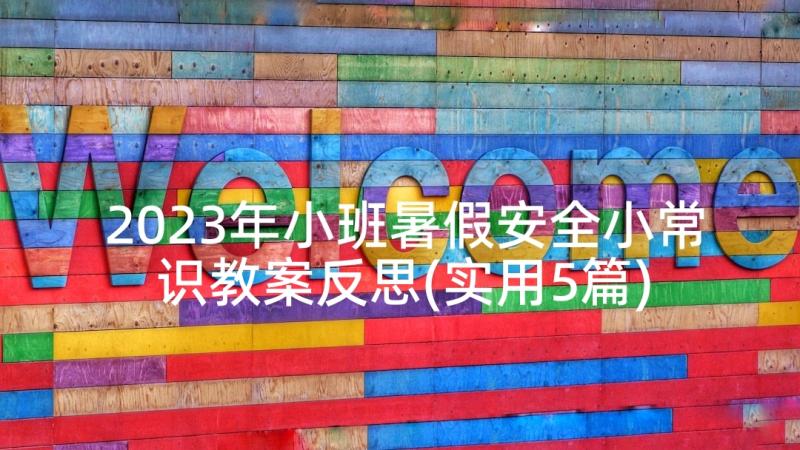 2023年小班暑假安全小常识教案反思(实用5篇)