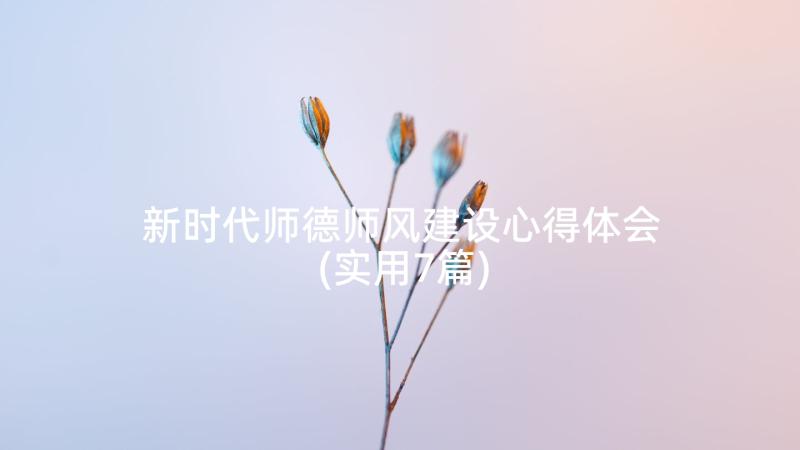 新时代师德师风建设心得体会(实用7篇)