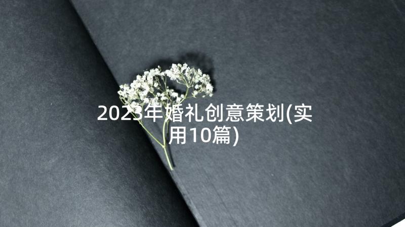 2023年婚礼创意策划(实用10篇)