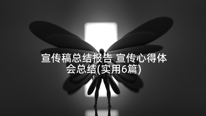 宣传稿总结报告 宣传心得体会总结(实用6篇)