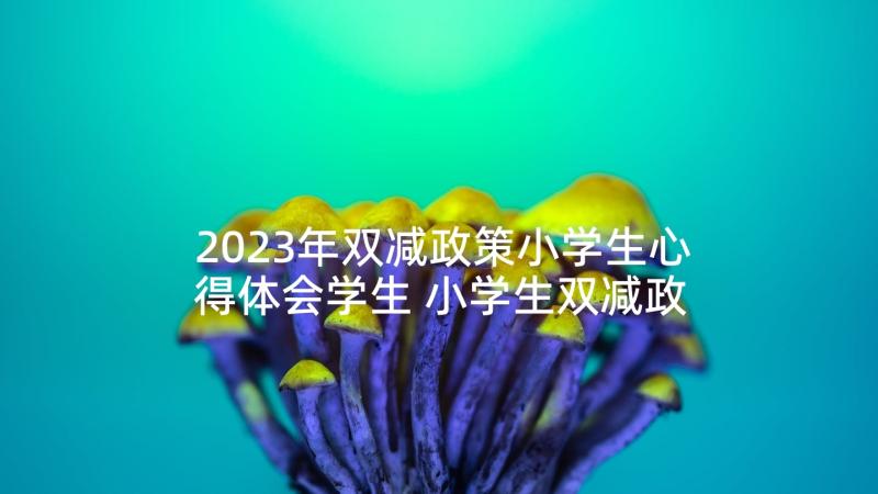 2023年双减政策小学生心得体会学生 小学生双减政策心得体会(精选9篇)