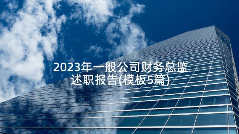 2023年一般公司财务总监述职报告(模板5篇)