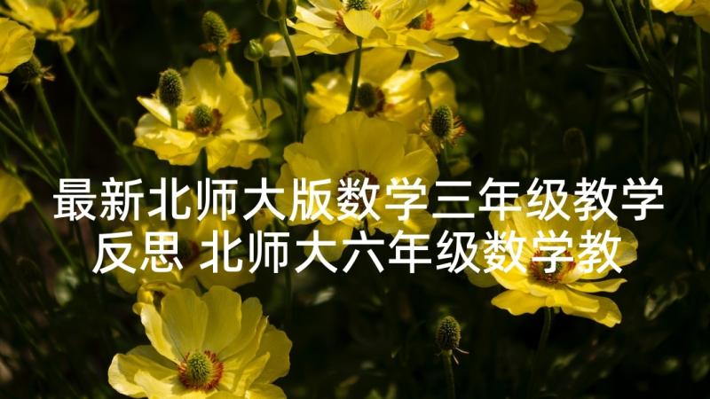 最新北师大版数学三年级教学反思 北师大六年级数学教学反思(汇总5篇)