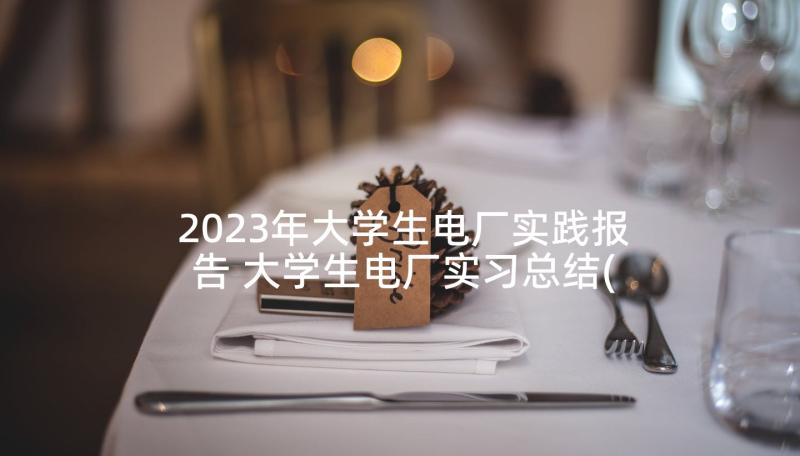 2023年大学生电厂实践报告 大学生电厂实习总结(精选7篇)