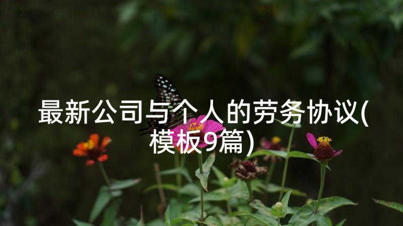 最新公司与个人的劳务协议(模板9篇)