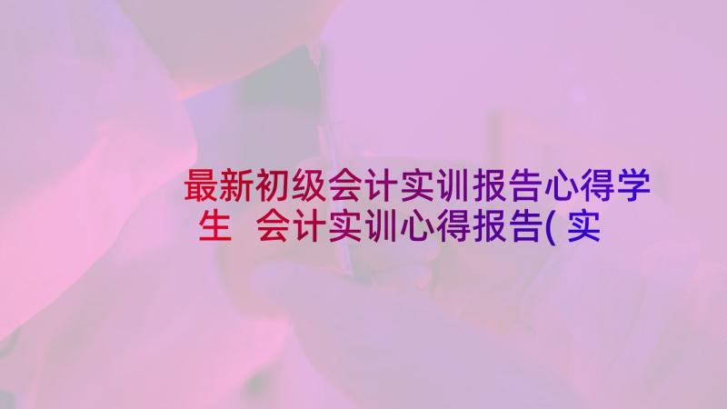 最新初级会计实训报告心得学生 会计实训心得报告(实用5篇)